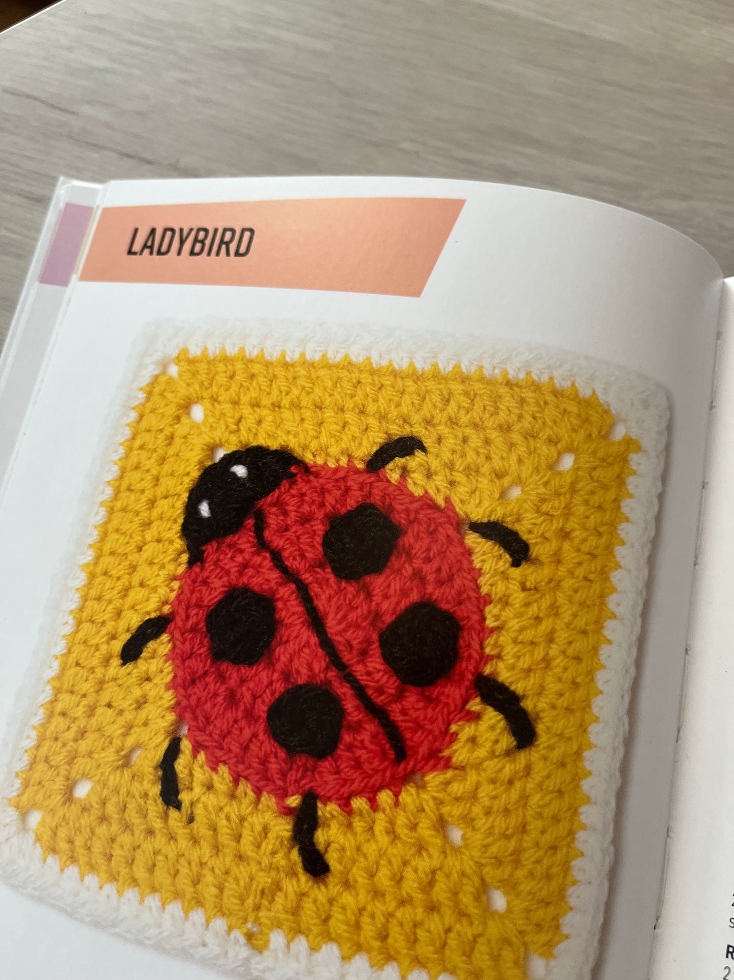 20 to make Animal Granny Squares to make